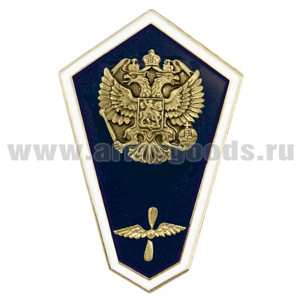 Значок мет. "Гробик" Среднее авиационно-техническое образование (латунь, хол.эм. с накладкой)