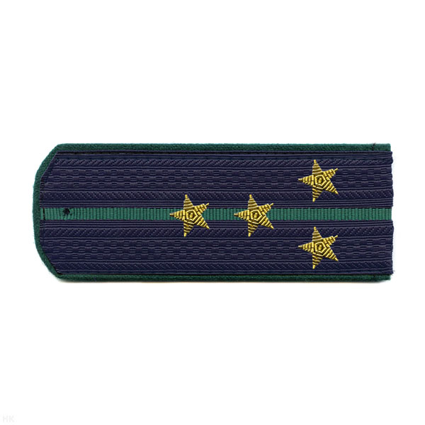 Погоны ПС ФСБ иссиня-черн. с зел. кантом с 1 зел. просв. на китель, вышит. канителью (капитан)