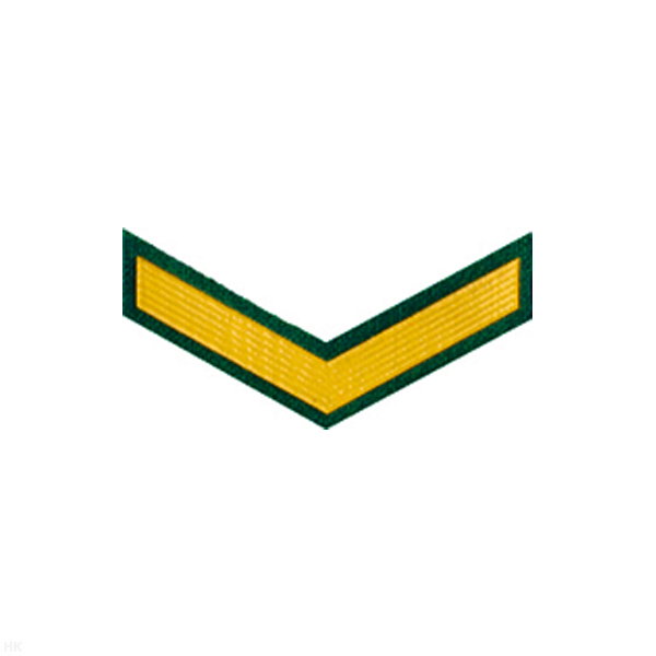 Курсовка пластизол. 1 курс (зел.)