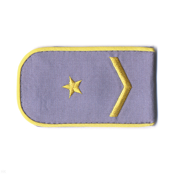 Погоны РЖД вышит. шелк. голубые (1 лычка 1 звезда)