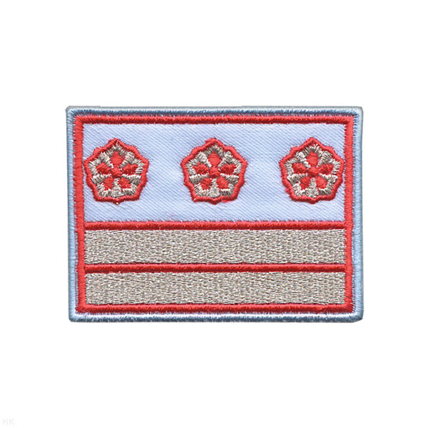 Нагрудный знак вышит. РЖД (голубой) 2 галуна 3 звезды