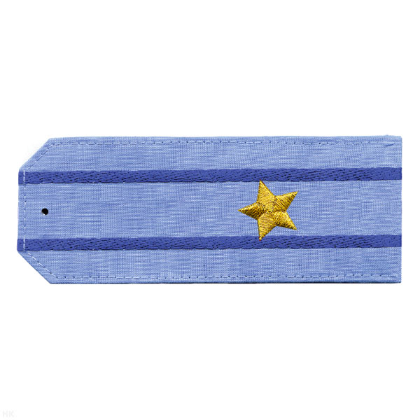 Погоны «машинная вышивка» из рубаш. ткани ФСБ голуб. с вышит. 2 вас. просв. с вышит. звездами (майор)