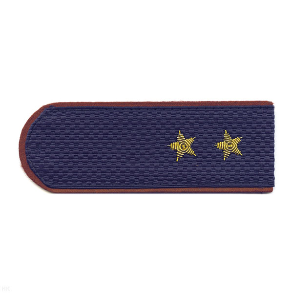 Погоны ФСИН серо-синие с крап. кантом на китель, вышит. канителью (прапорщик)