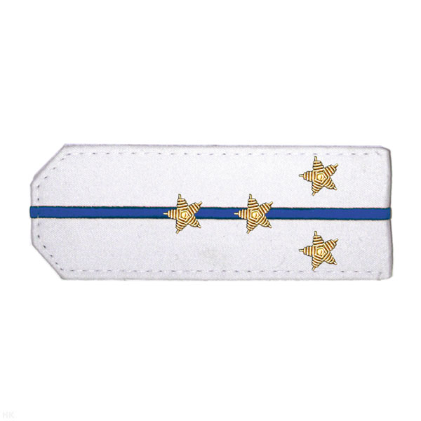 Погоны из рубаш. ткани белые с вышит. 1 вас. просв., вышит. канителью (капитан)