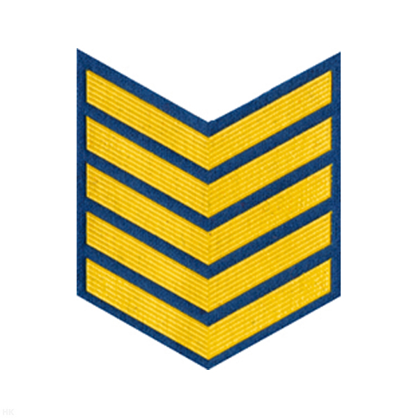 Курсовка пластизол. 5 курс (голуб.)