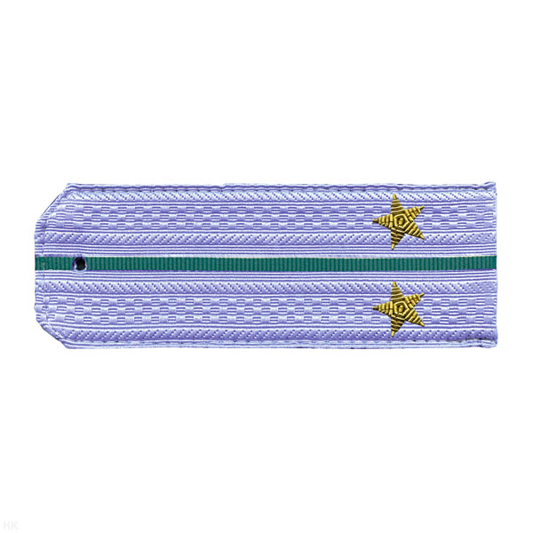 Погоны ПС ФСБ голуб. с 1 зел. просв. на рубашку, вышит. канителью (лейтенант)