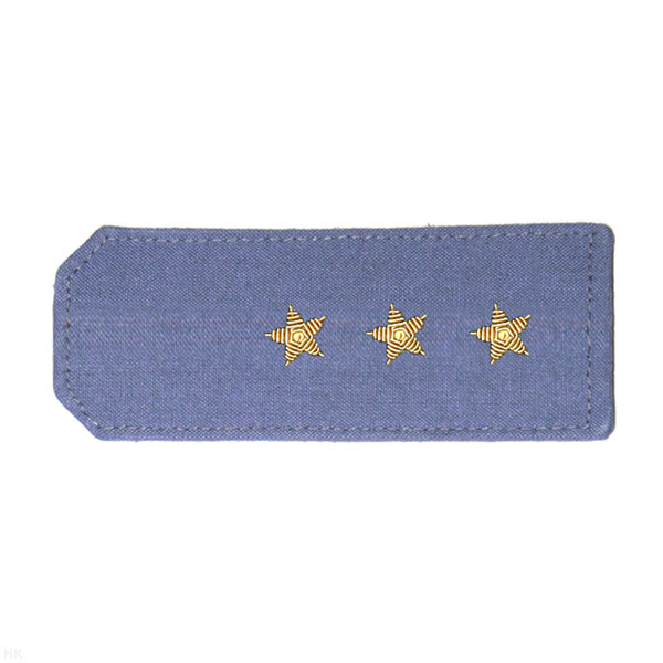 Погоны из рубаш. ткани серо-голуб. чистые, вышит. канителью (ст. прапорщик)