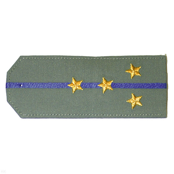 Погоны «машинная вышивка» из рубаш. ткани оливк. с 1 вышит. вас. просв. с вышит. звездами (капитан)