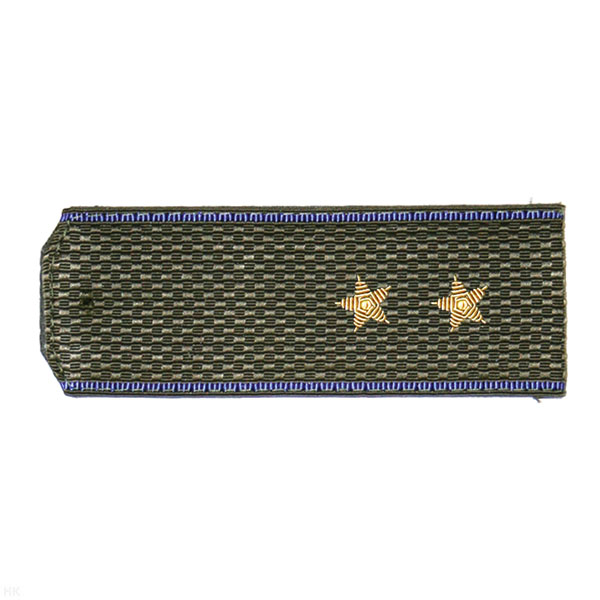 Погоны ФСБ ст/обр оливк. с вас. кантом, вышит. канителью  (прапорщик)