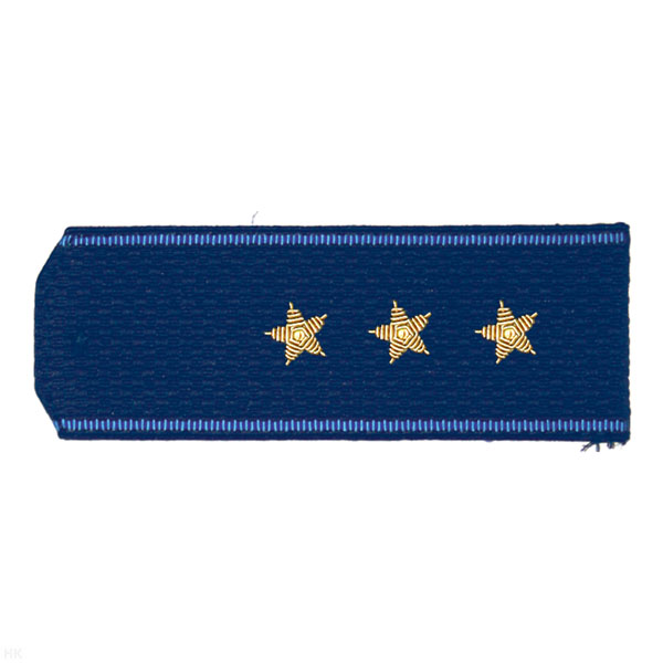 Погоны синие с голуб. кантом, вышит. канителью  (ст. прапорщик)