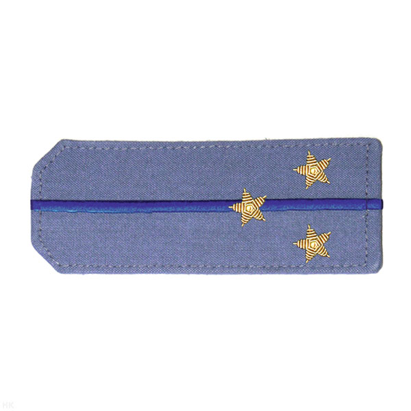 Погоны из рубаш. ткани серо-голуб. с вышит. 1 вас. просв., вышит. канителью (ст. лейтенант)