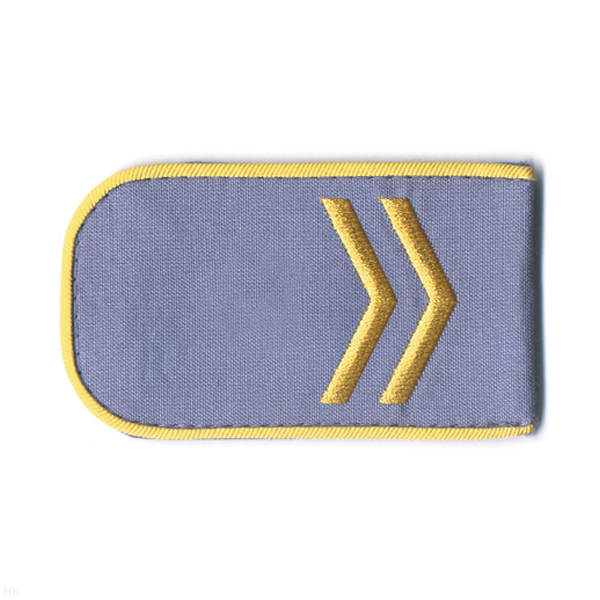 Погоны ГОРЭЛЕКТРОТРАНС вышит. шелком голубые (2 лычки)