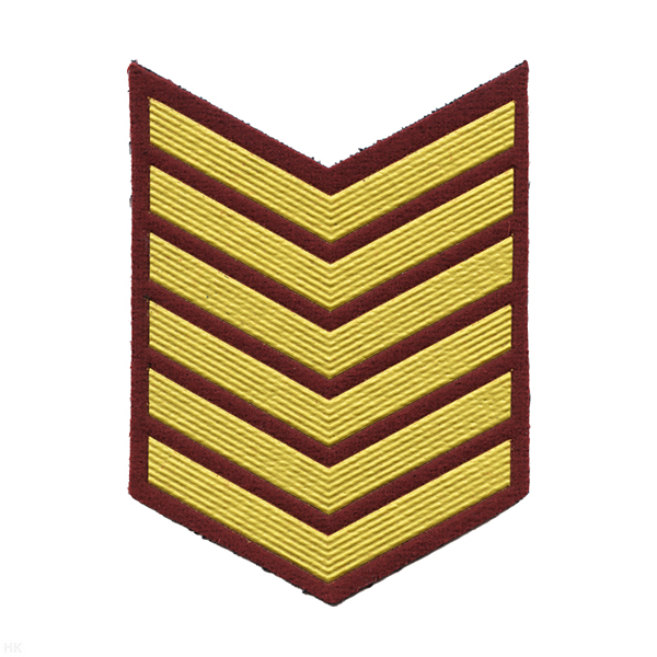 Курсовка пластизол. 6 курс (крапов.) галочка