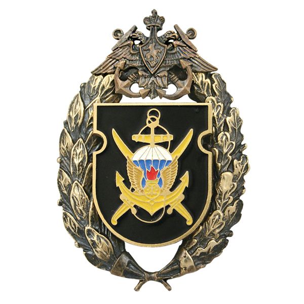 Значок мет. 879 ОДШБ БФ (большая эмблема)