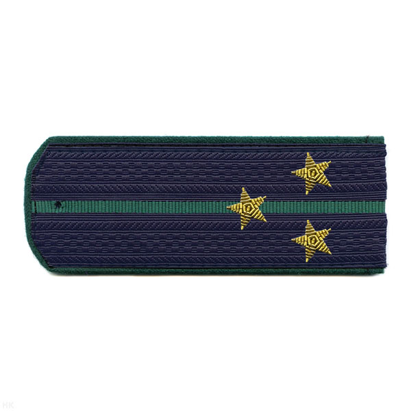 Погоны ПС ФСБ иссиня-черн. с зел. кантом с 1 зел. просв. на китель, вышит. канителью (ст. лейтенант)