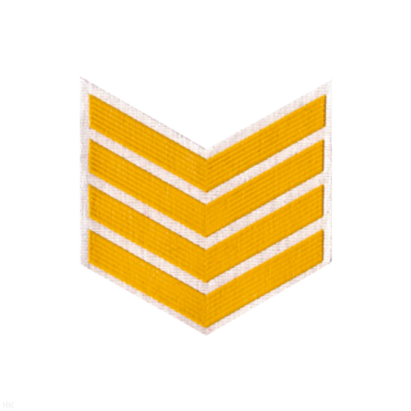 Курсовка пластизол. 4 курс (бел.)