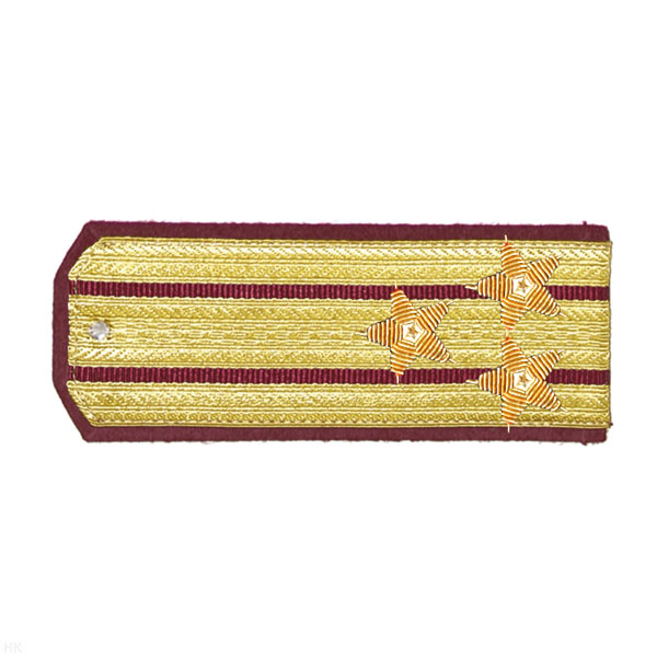 Погоны парадные золотые (шелк) с 2 крап. просв., вышит. канителью (полковник)