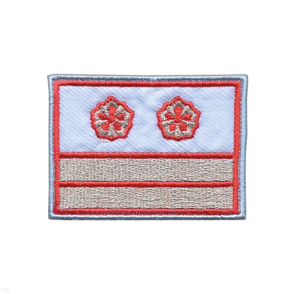 Нагрудный знак вышит. РЖД (голубой) 2 галуна 2 звезды