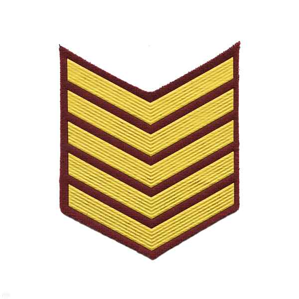 Курсовка пластизол. 5 курс (крапов.) галочка