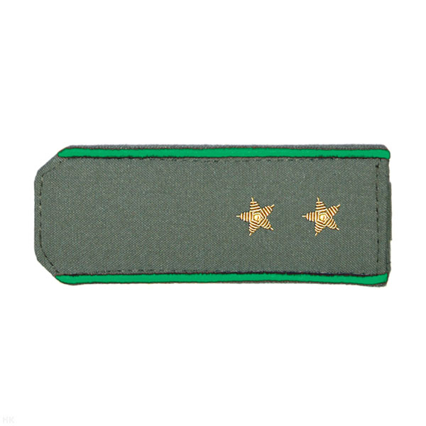 Погоны из рубаш. ткани оливк. с вышит. зел. кантом, вышит. канителью (прапорщик)