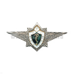 Значок мет. Классность медицины 1 класс