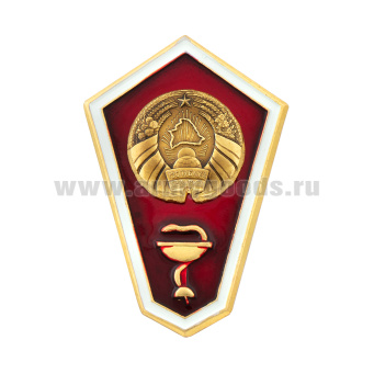 Значок мет. "Гробик" РБ Среднее медицинское образование (латунь, хол.эм. с накладкой) эконом