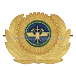 Кокарда мет. Ведомственная охрана ЖДТ России бол