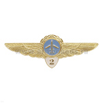 Значок мет. Классность ГВФ: пилот 2 класс