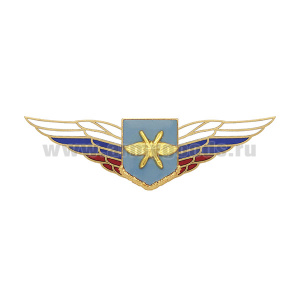 Значок мет. Должностной знак командира полка и ему равной воинской части (ВКС) (№50)