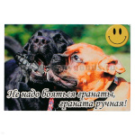 Магнит виниловый (гибкий) со смайликом Не надо бояться гранаты, граната ручная!