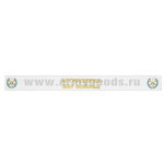Подворотничок ДМБ РВиА
