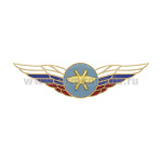 Значок мет. Должностной знак командующего родом сил ВКС (№46)