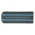 Погоны сер. 2 голуб. пр. (ФССП ст/обр)