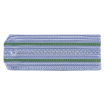 Погоны голуб. 2 зел. пр. (ПС ФСБ руб.) на пластике