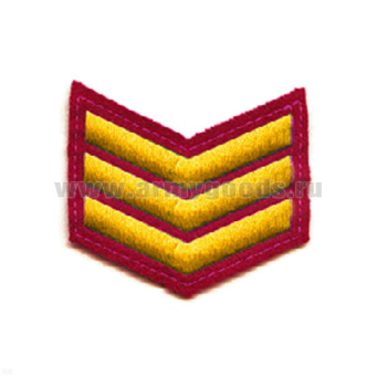 00000013313