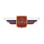 Значок мет. Должностной знак командующего войсками Западного военного округа (№11)