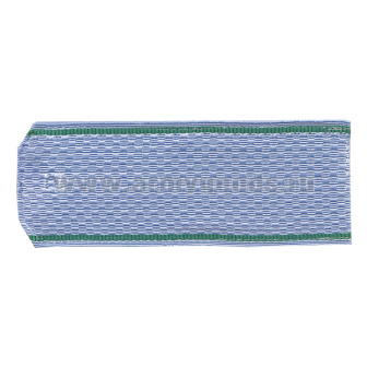 Погоны голуб. зел. кант (ПС ФСБ руб.) на пластике