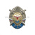 Значок мет. 76 гв. ВДД (серия ВДВ (стальные лучи с мечами)