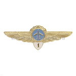 Значок мет. Классность ГВФ: пилот 1 класс