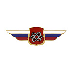 Значок мет. Должностной знак начальника объекта (ядерное обеспечение) (№104)