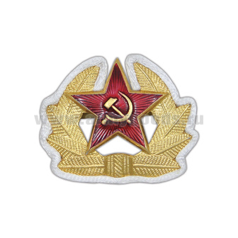 Кокарда мет. СА р/с (в обрамлении из белого шнура) 