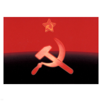 00000036229