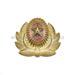 Кокарда пласт. РА бол. зол.