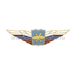 Значок мет. Должностной знак начальника высшего военного училища, проф. образоват. организации и общеобразовательной организации ВКС (№53)