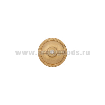 Значок мет. Гвардия ДНР