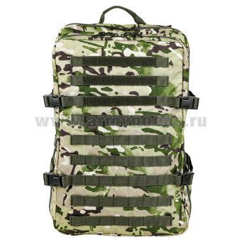 Рюкзак Штурм (50 л, ширина - 40 см, глубина - 15 см, высота - 53 см) "мультикам"