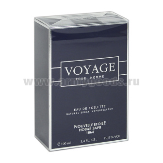 Тлтн вод мужская Вояж (100 мл)