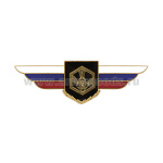 Значок мет. Должностной знак командира полка и ему равной воинской части (РХБЗ) №118