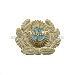 Кокарда мет. Гражданской авиации бол.