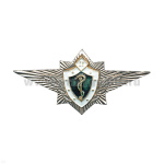 Значок мет. Классность медицины 2 класс